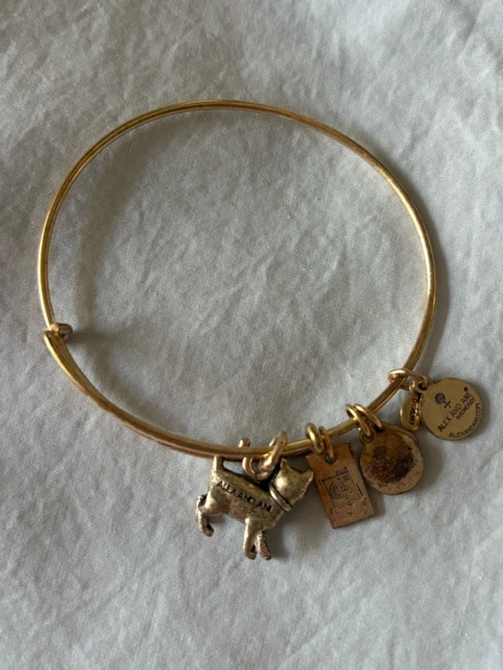 Alex and Ani Gold Cat Charm Bracelet